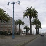 P1010064.JPG