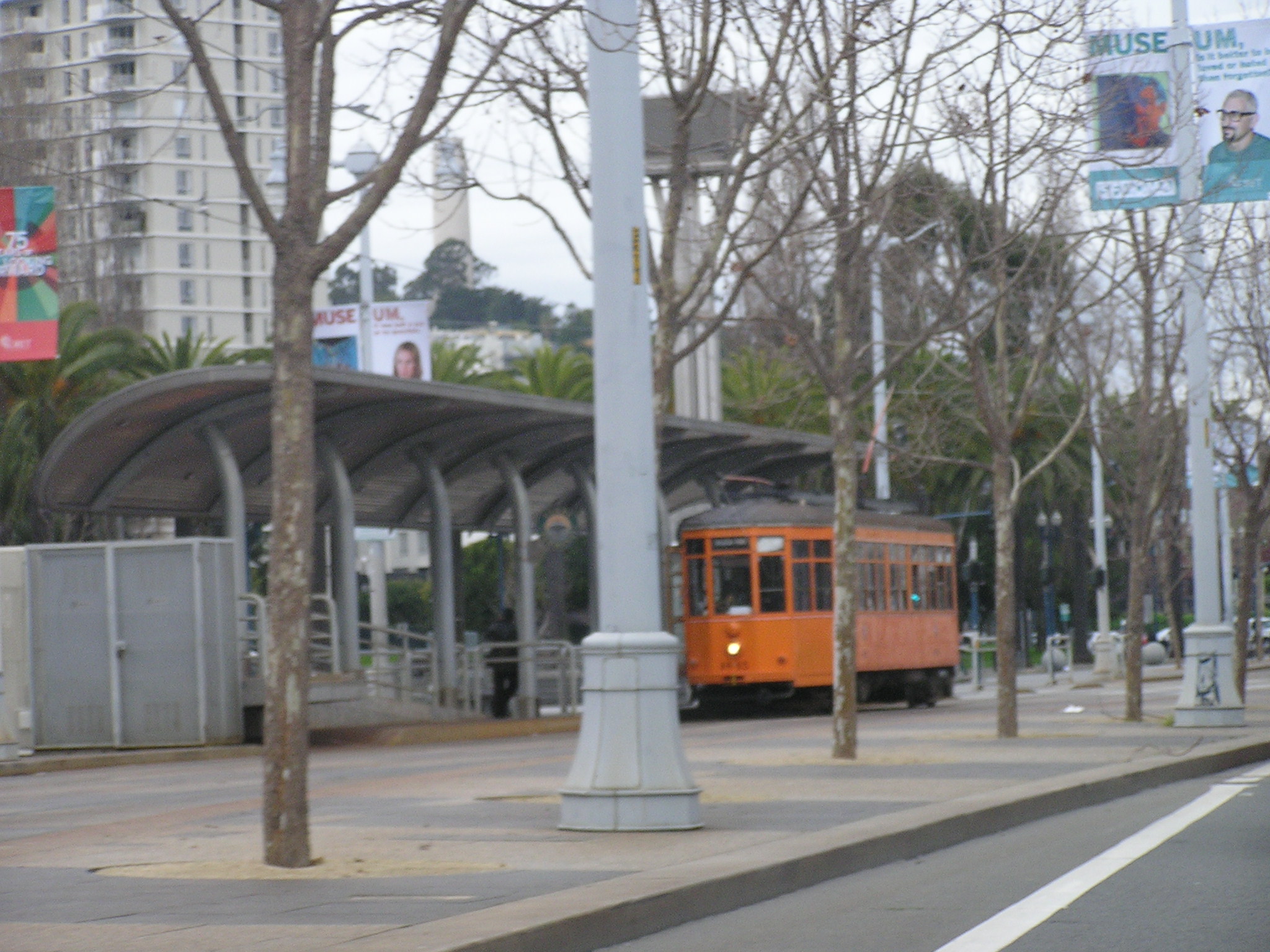 P1010076.JPG