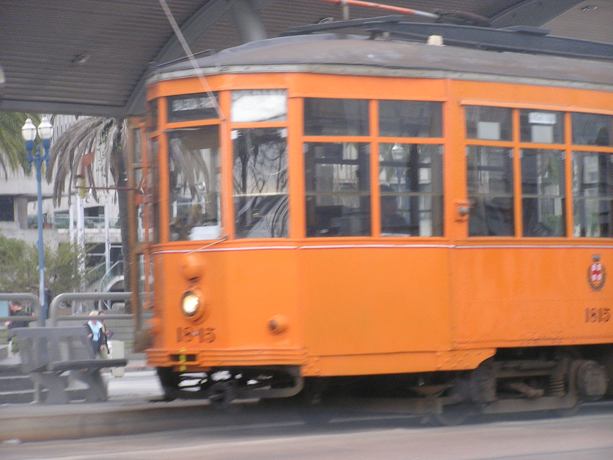 P1010077.JPG