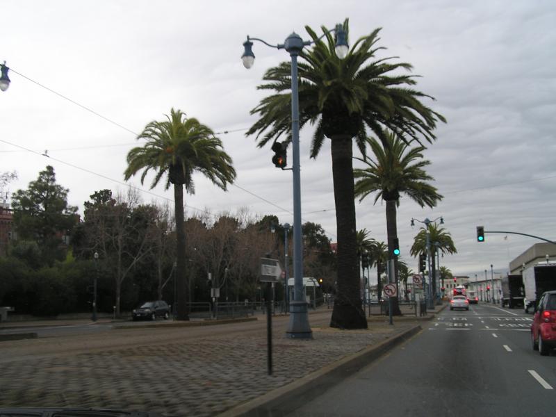 P1010083.JPG