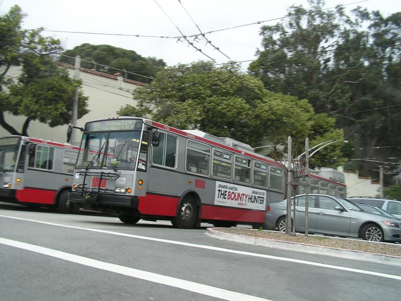 P1010094.JPG