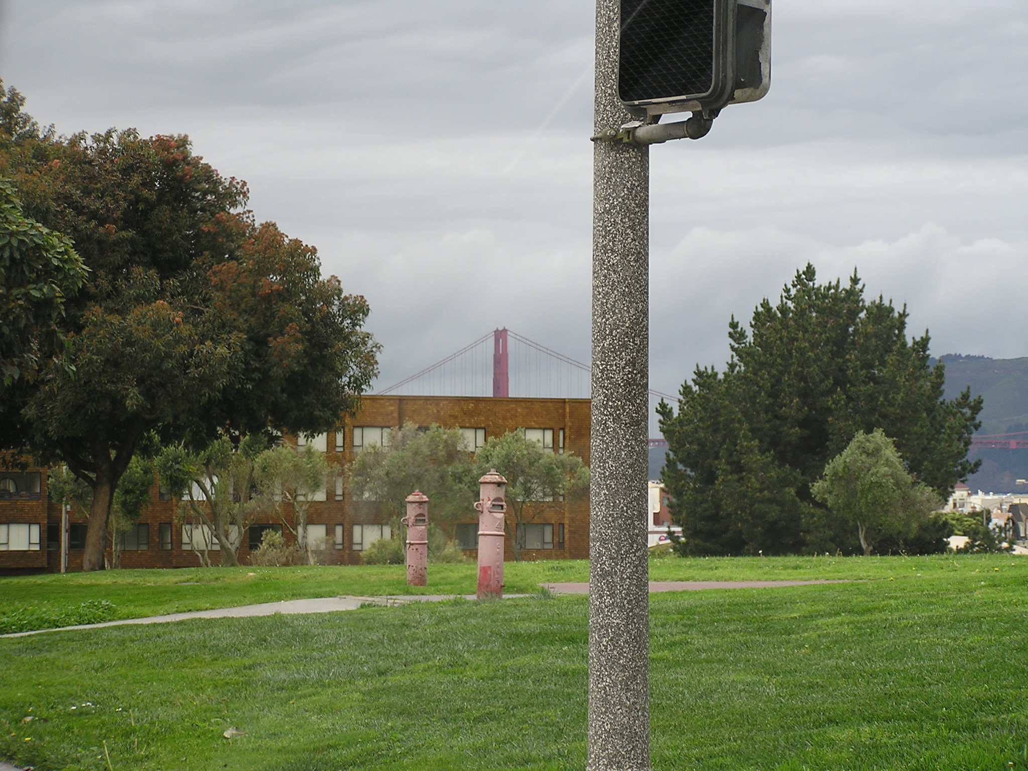 P1010096.JPG