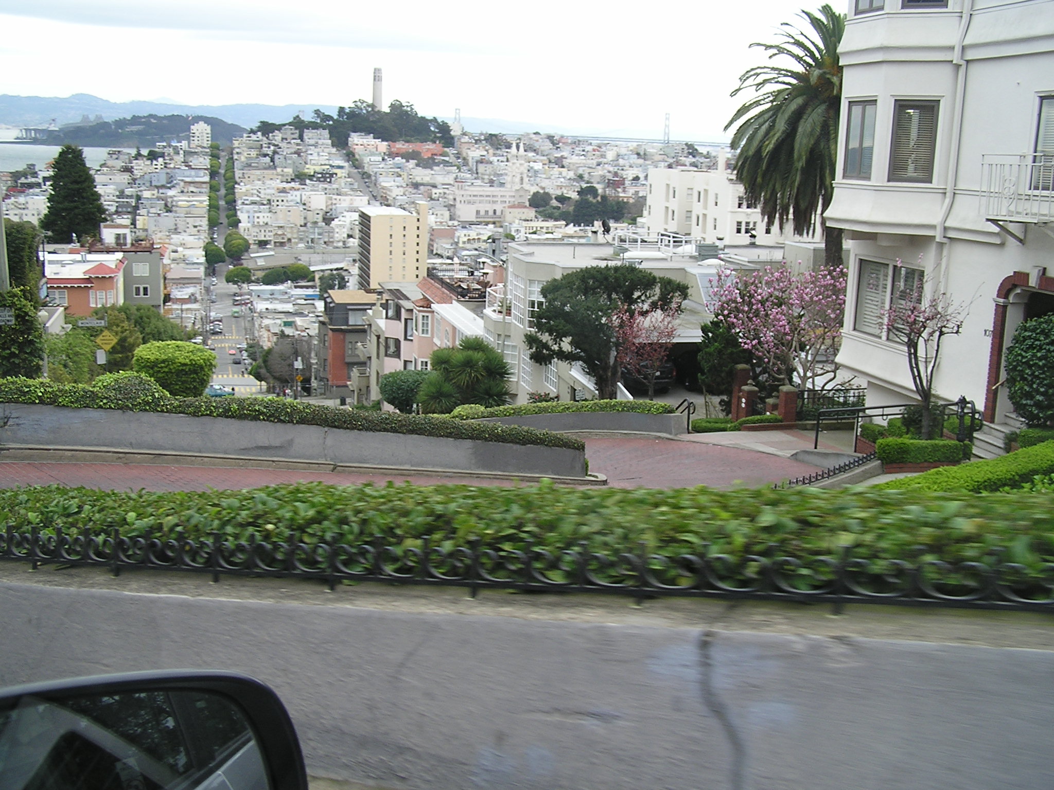 P1010120.JPG