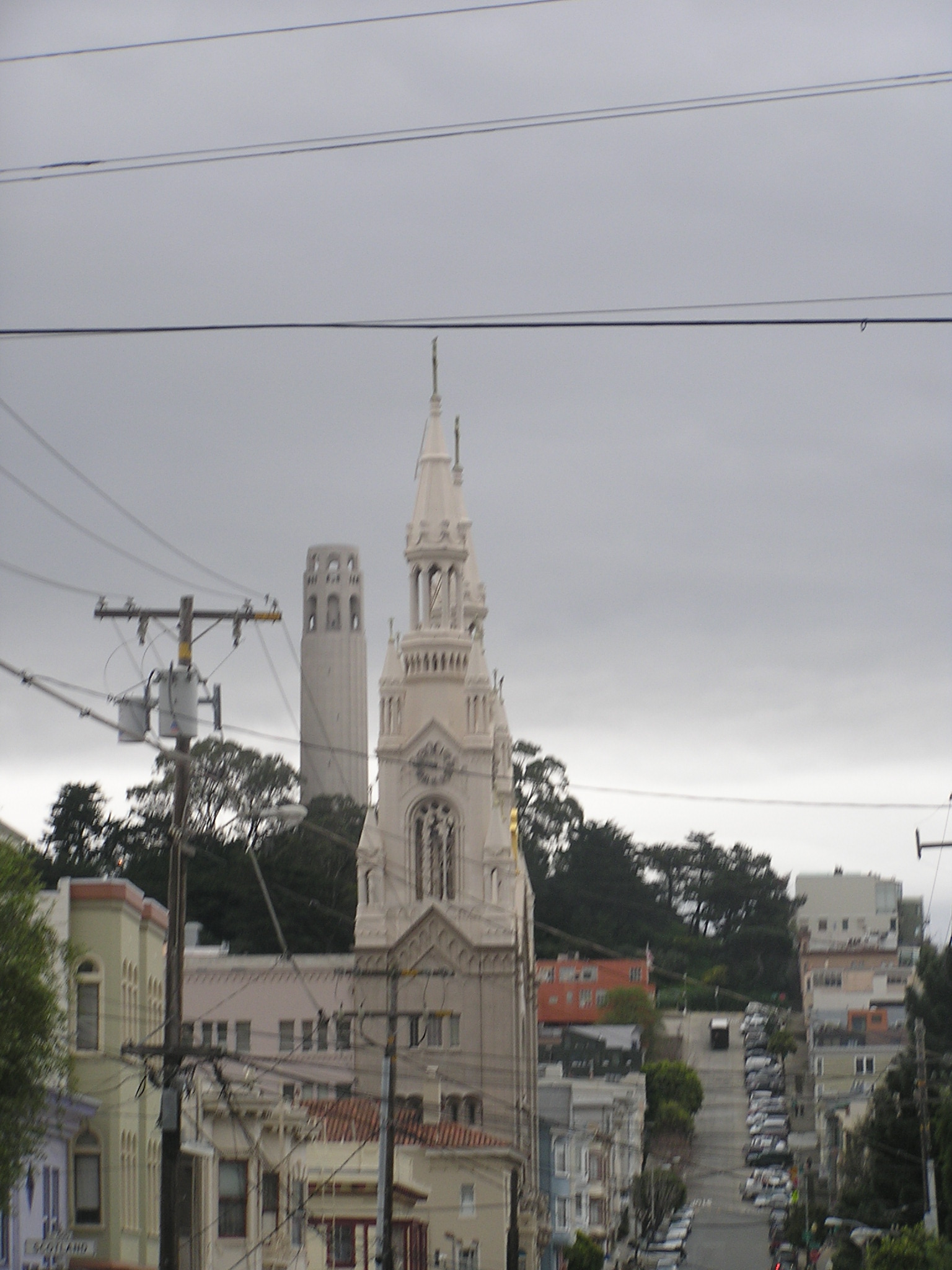 P1010148.JPG