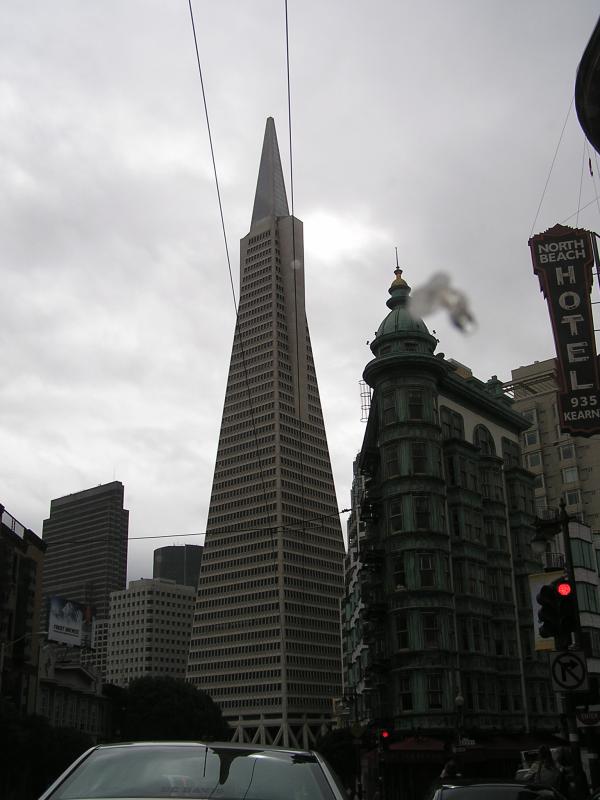 P1010158.JPG