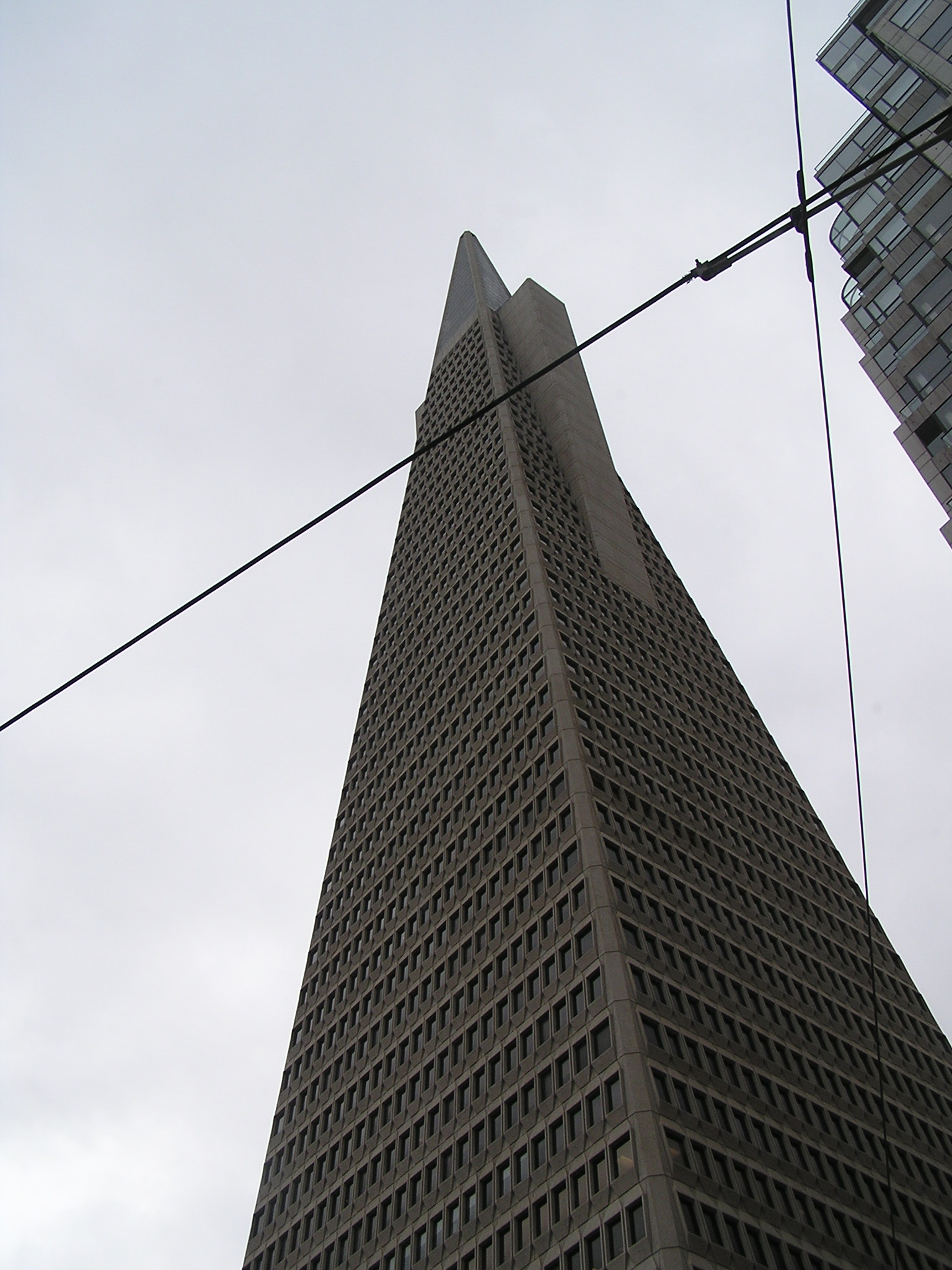 P1010161.JPG