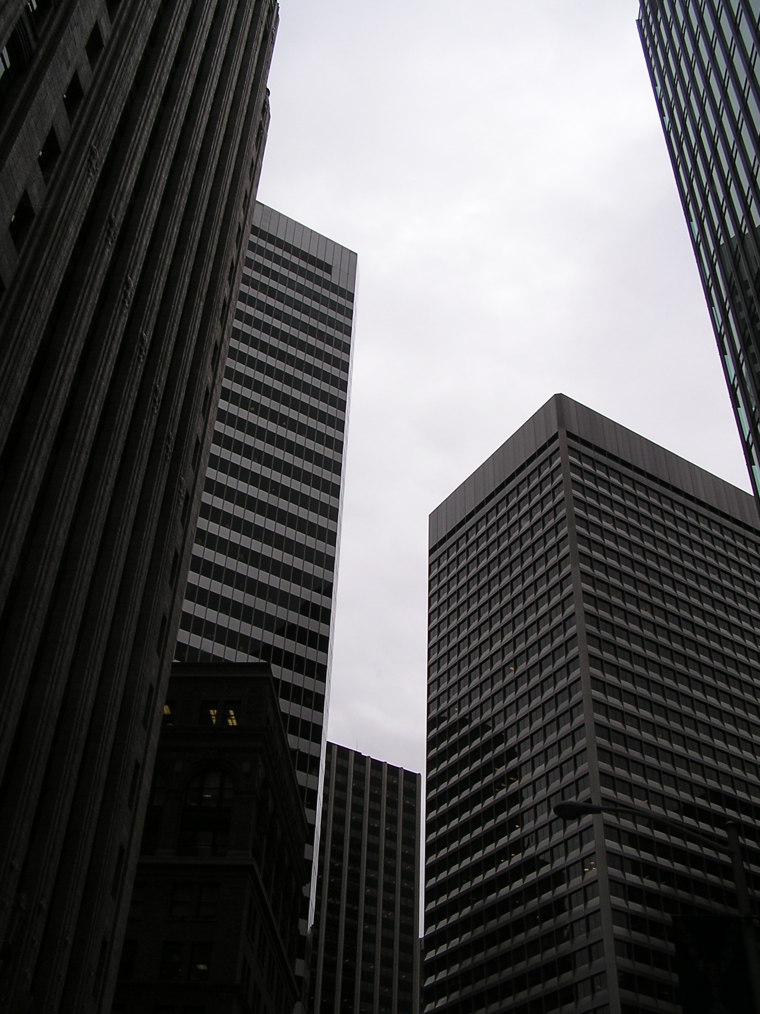 P1010169.JPG