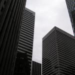 P1010169.JPG