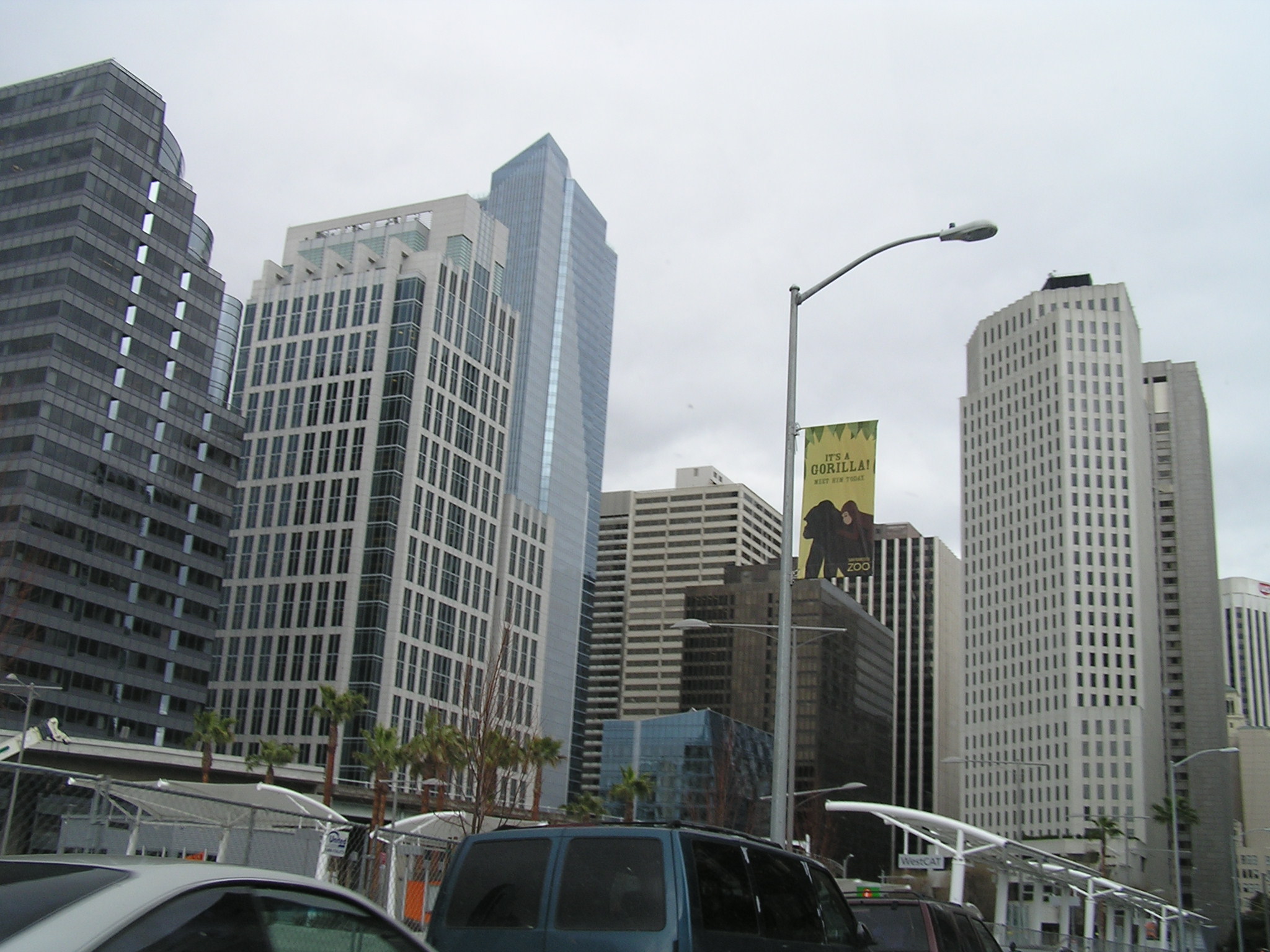 P1010176.JPG