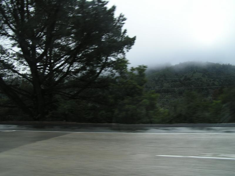 P1010216.JPG
