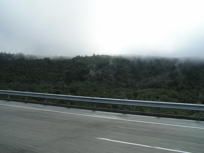 P1010218.JPG