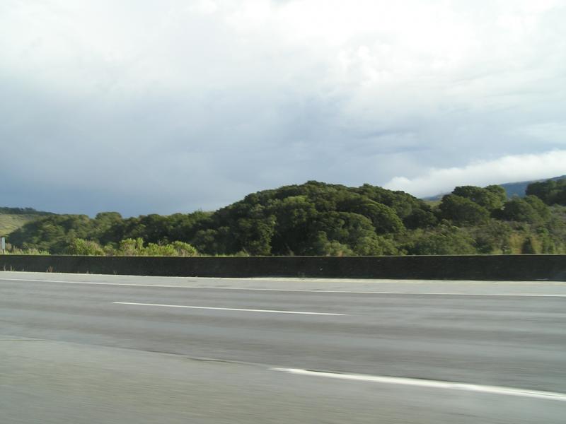 P1010229.JPG
