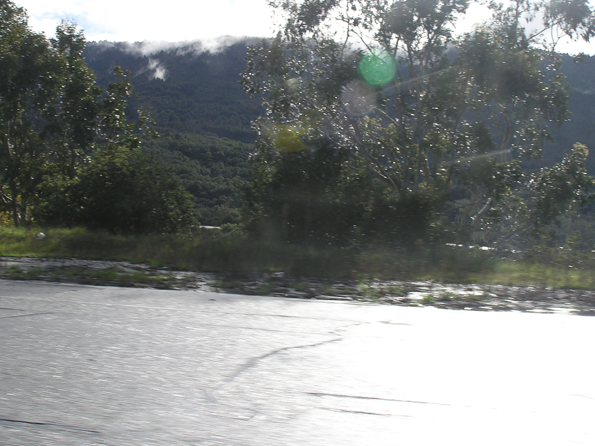 P1010239.JPG