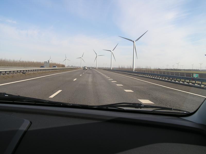 P1010001.JPG