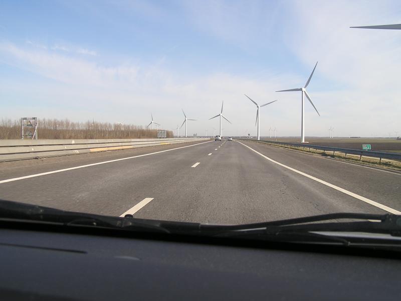 P1010002.JPG