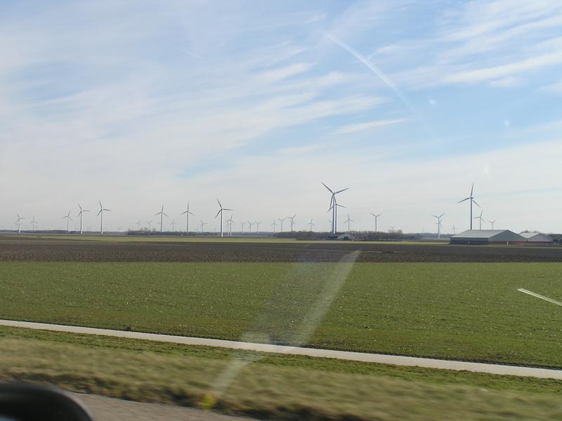 P1010004.JPG