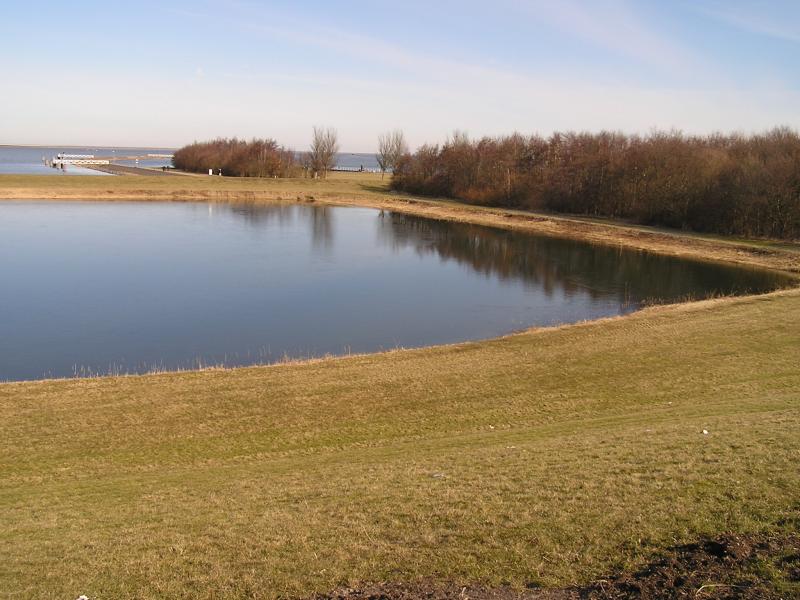 P1010016.JPG