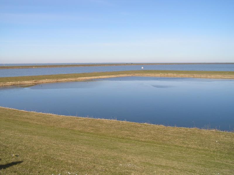 P1010017.JPG