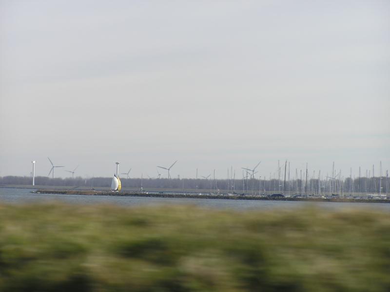 P1010037.JPG