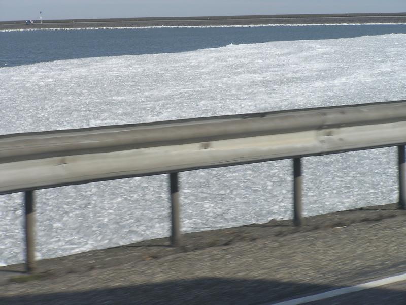 P1010044.JPG