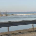 P1010054.JPG