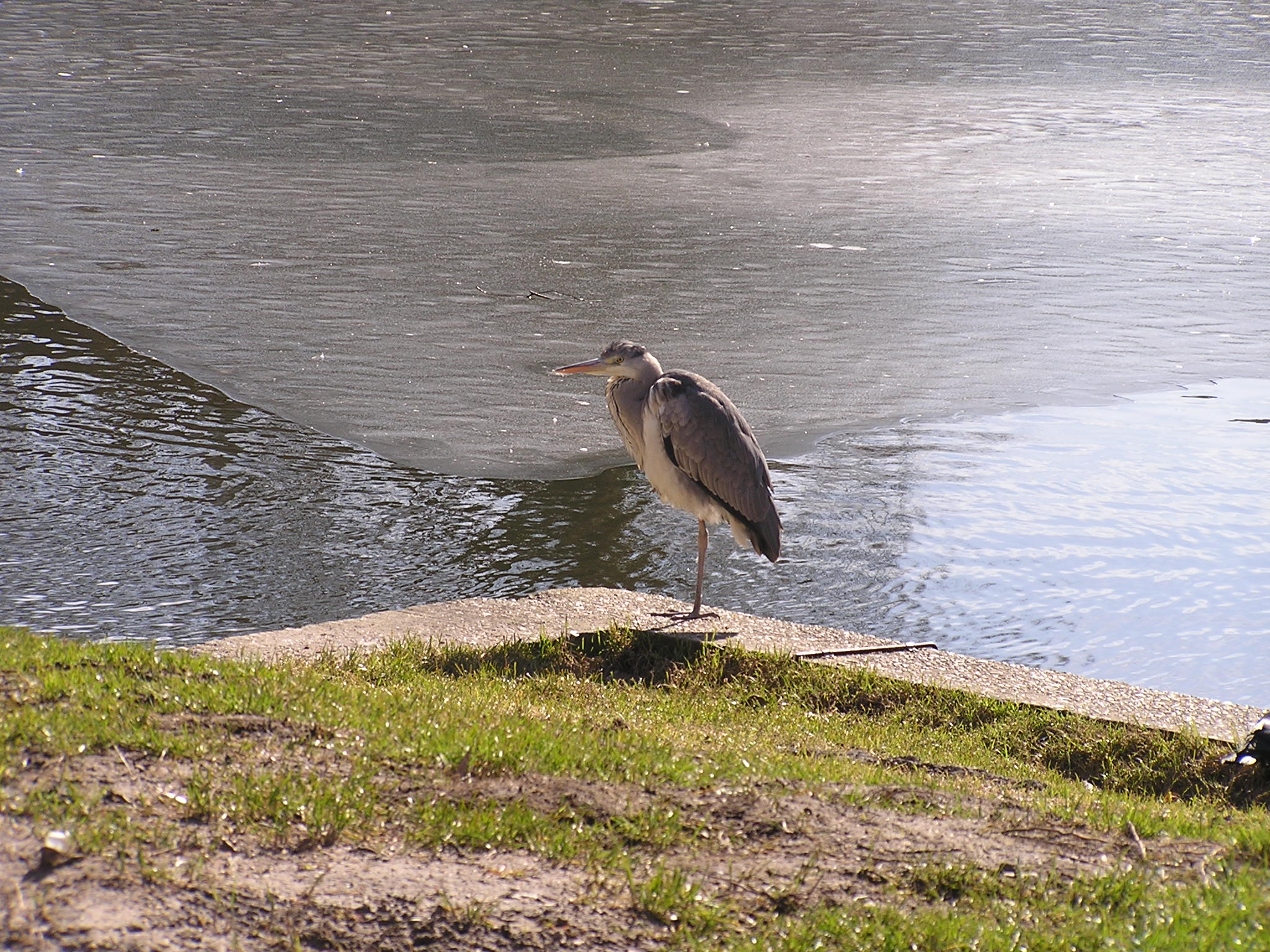 P1010102.JPG