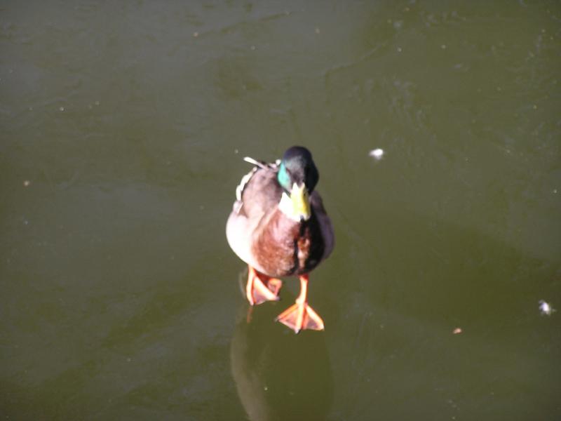 P1010139.JPG
