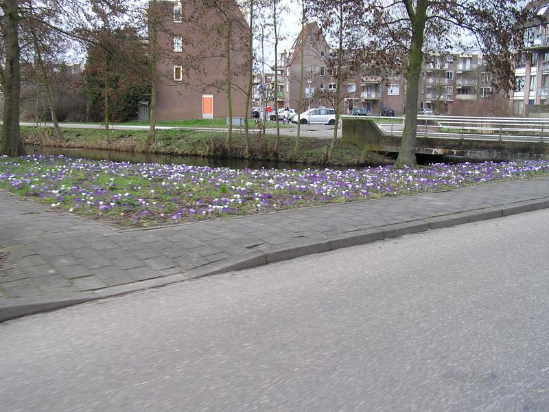 p1010002.jpg