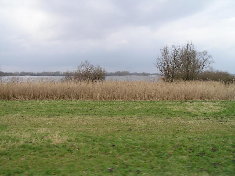 p1010006.jpg