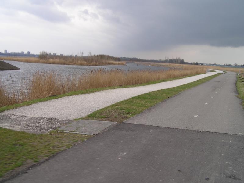 p1010013.jpg