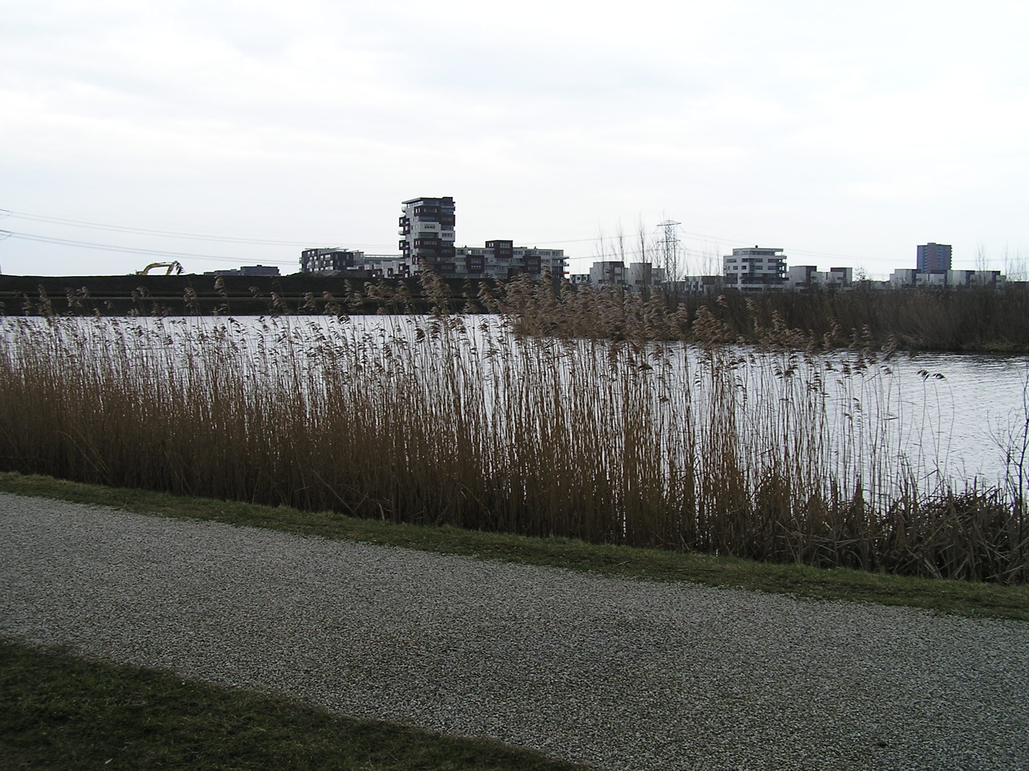 p1010015.jpg