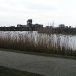p1010015.jpg
