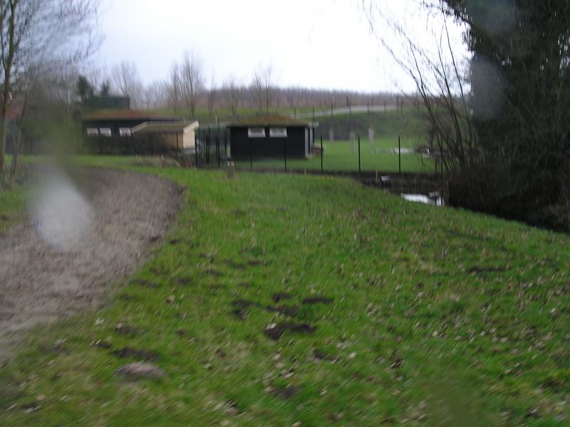p1010028.jpg