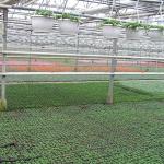 P1010094.JPG