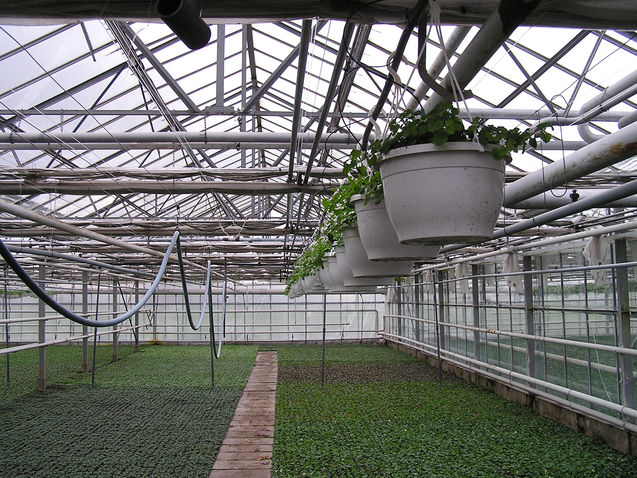 P1010098.JPG
