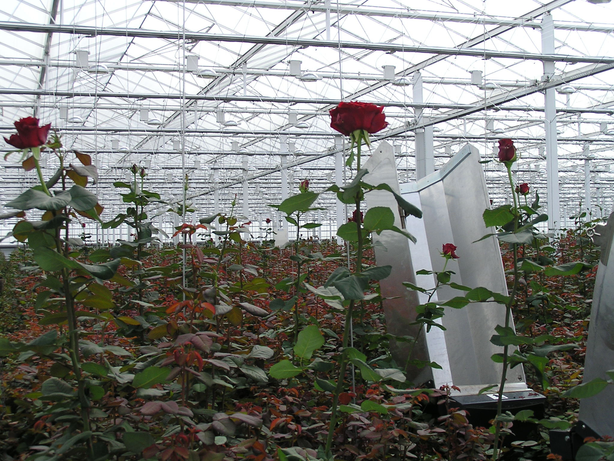 P1010113.JPG