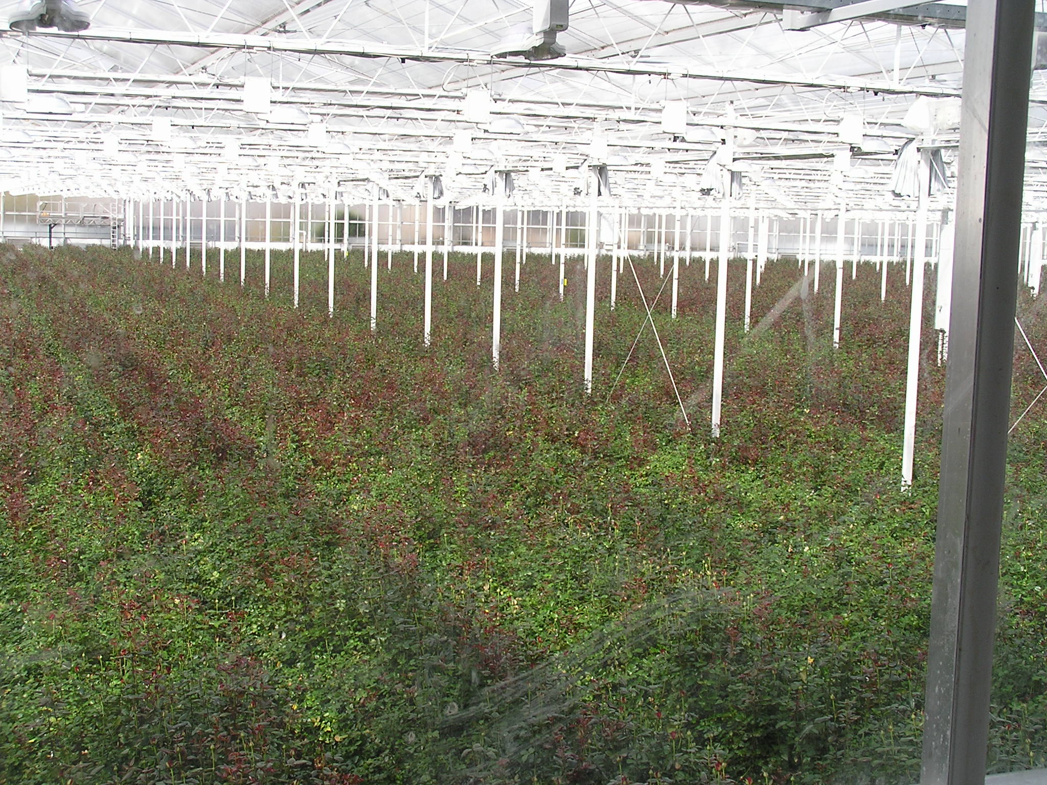 P1010114.JPG