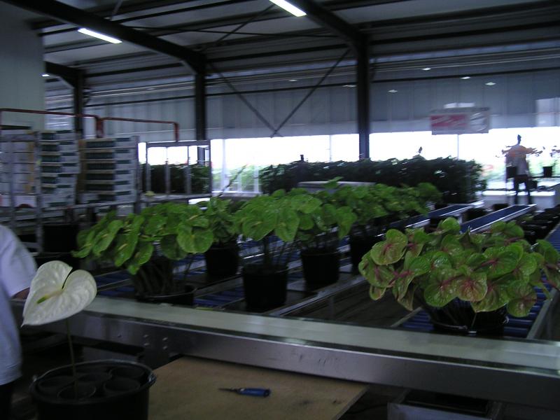 P1010011.JPG