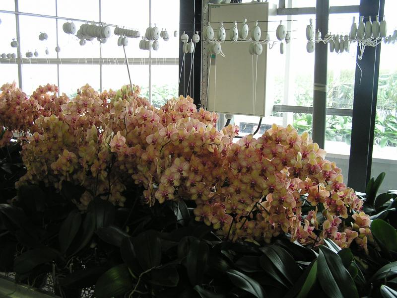 P1010013.JPG