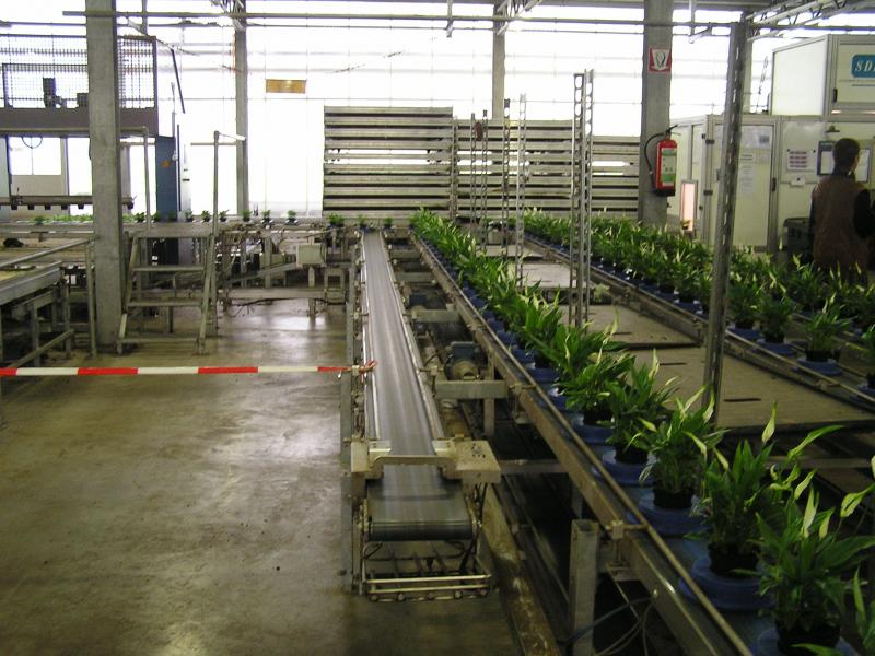 P1010023.JPG