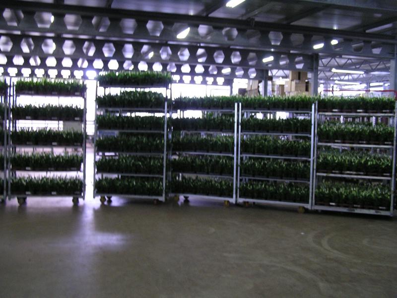 P1010024.JPG