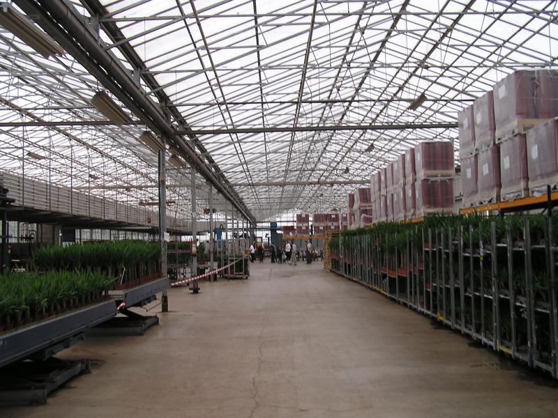 P1010035.JPG