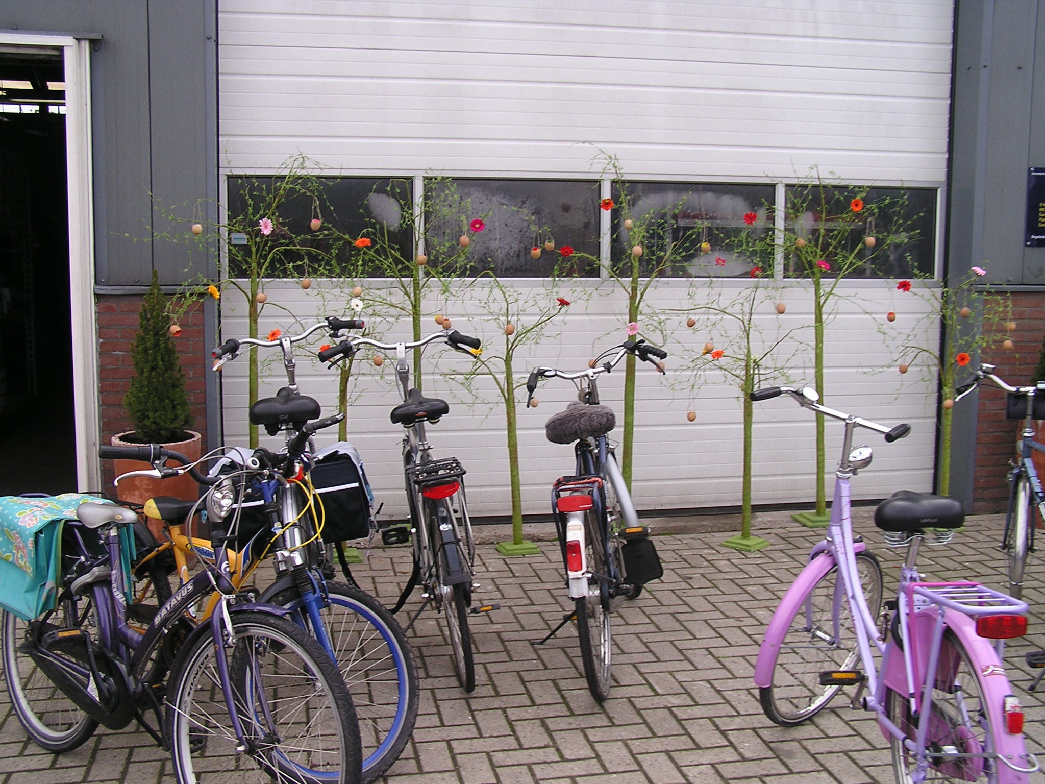 P1010045.JPG