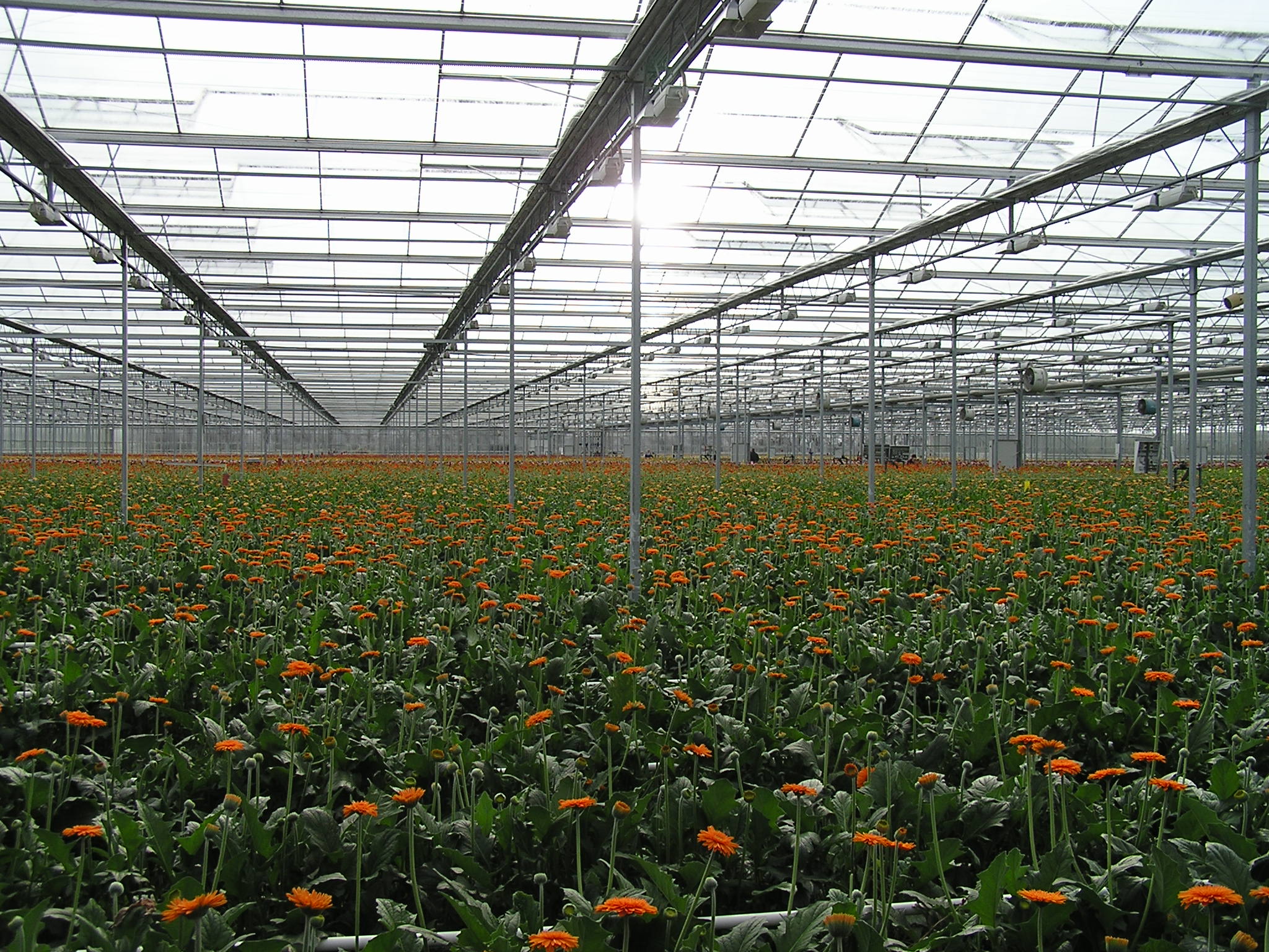 P1010047.JPG