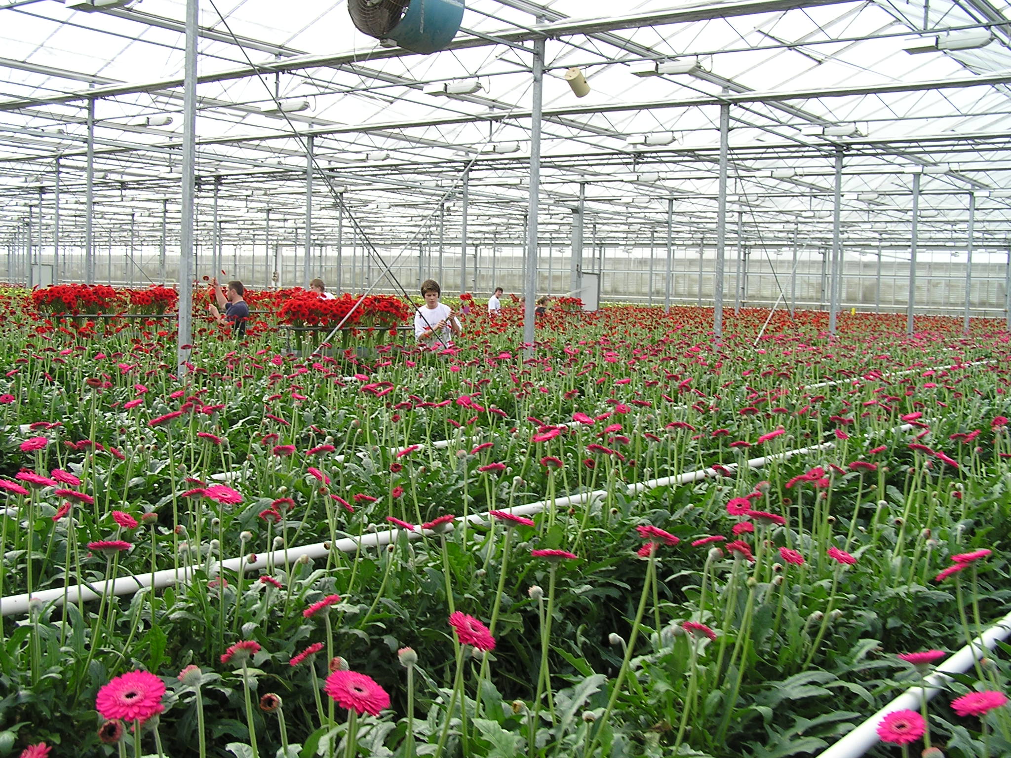 P1010049.JPG