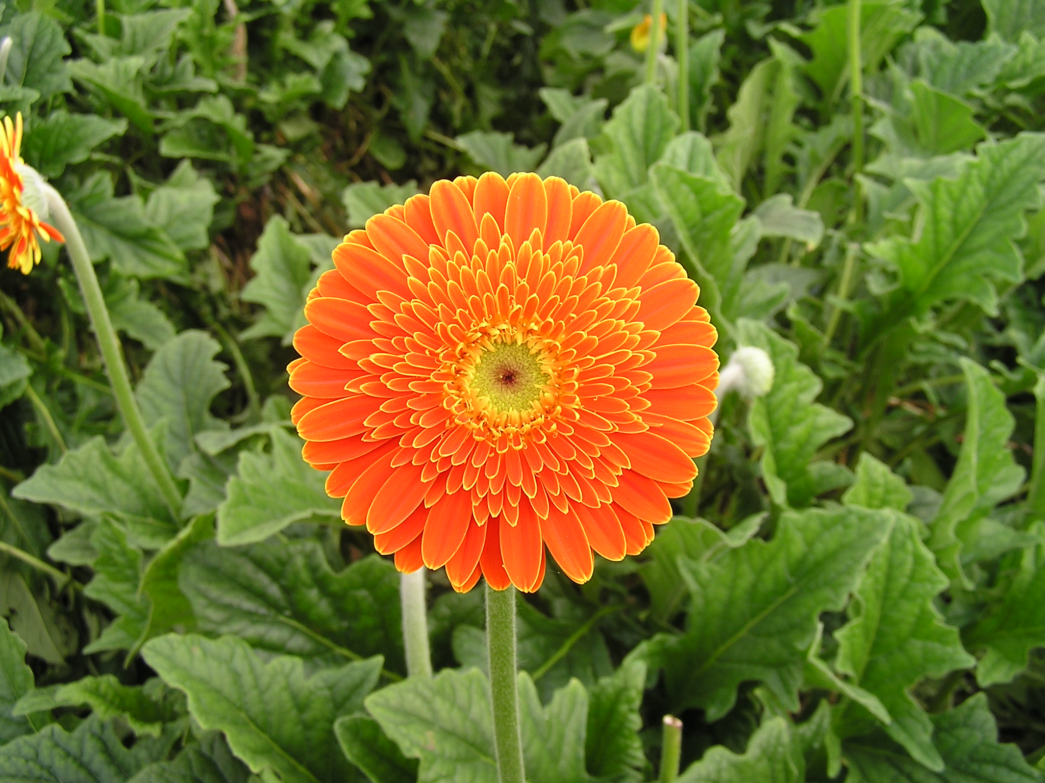 P1010051.JPG
