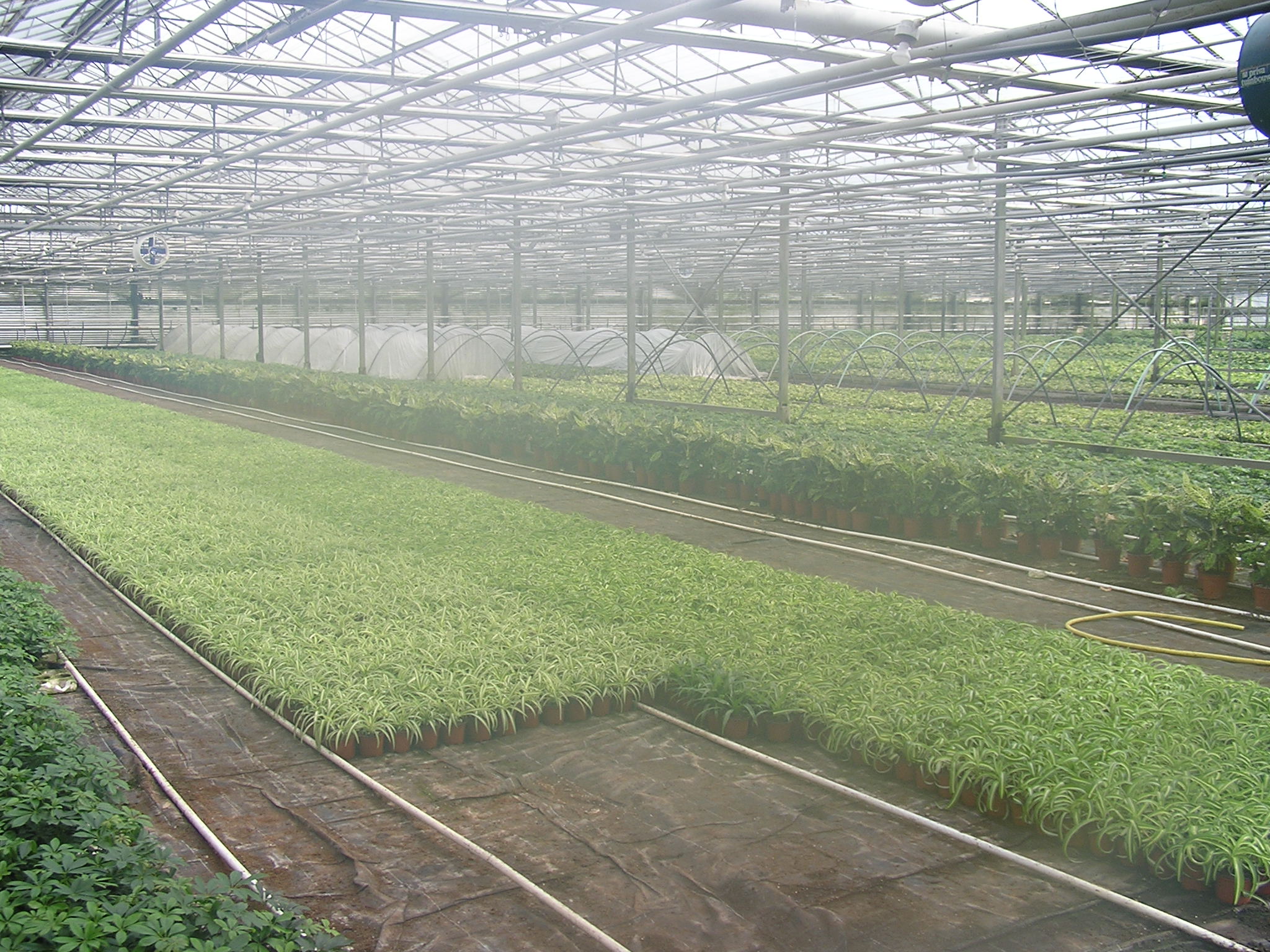 P1010064.JPG