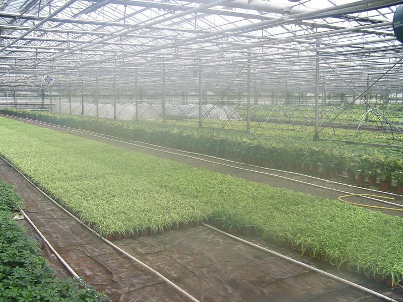P1010064.JPG