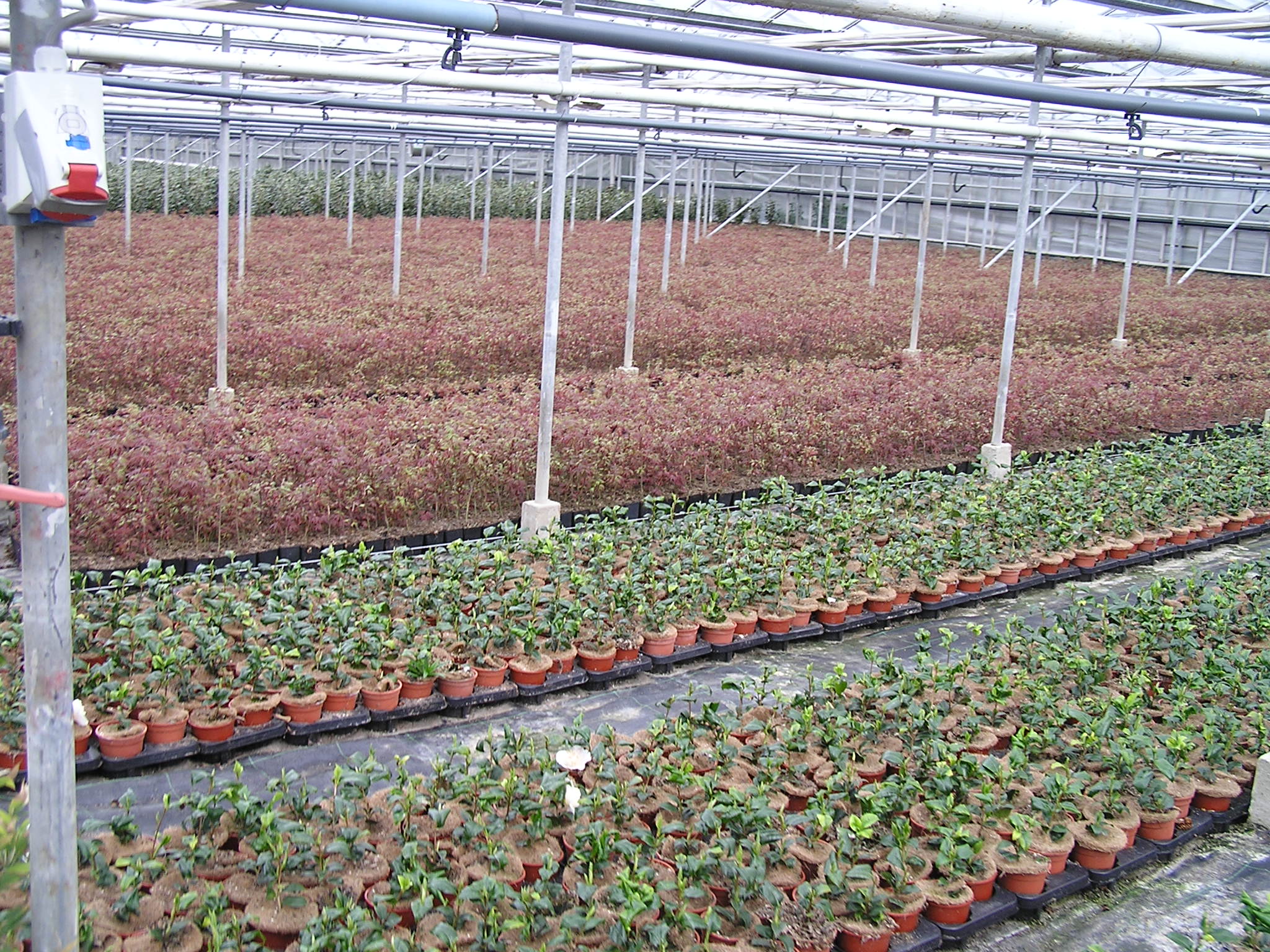P1010077.JPG