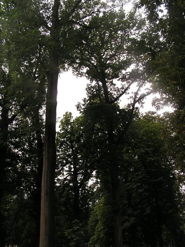 P1010016.JPG